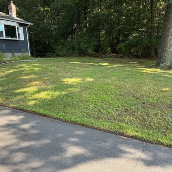Green Smiled - Mowed, trimmed and overgrown bushes removed. - Landscaping Near Me - East Hartford, Connecticut