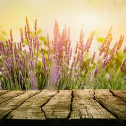 Granite State Acupuncture