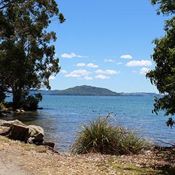 Rotorua By Segway - Visit Lake Rotorua on a segway