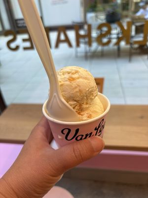 Van Leeuwen Ice Cream by null