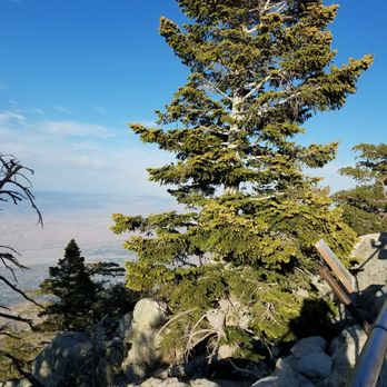 Mount San Jacinto State Park - Mountain vista looking over the desert below. - Parks Near Me - Idyllwild, California