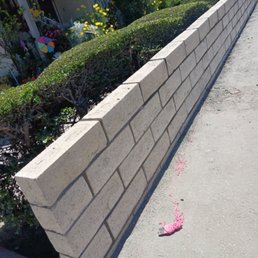 Finished new wall