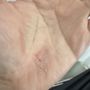 Photo of Quan Nguyen, MD - Q-Dermatology