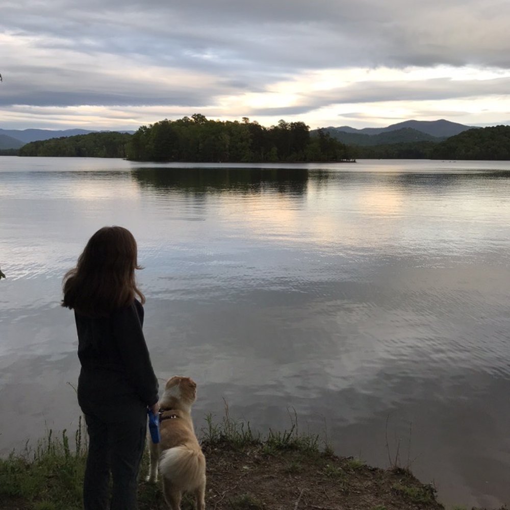 Gibson Cove Campground - Dogs are allowed - Campgrounds Near Me - Hayesville, North Carolina