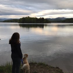 Gibson Cove Campground - Dogs are allowed
