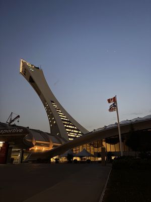 The Montreal Tower by null