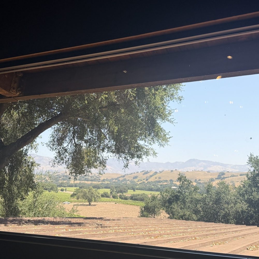 Firestone Vineyard - View from the tasting room - Wine Tasting Room Near Me - Los Olivos, California