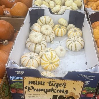 Trader Joe's - Tiger style Pumpkins - Grocery Near Me - San Francisco, California Trader Joe's - Tiger style Pumpkins - Grocery Near Me - San Francisco, California