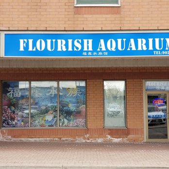 Cachet Centre - Flourish Aquarium - Shopping Centers Near Me - Markham, Ontario