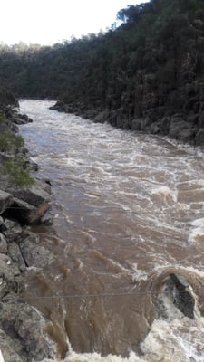 Cataract Gorge Reserve by null