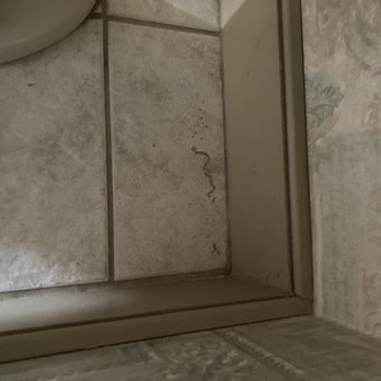 MaidPro - Home Cleaning Near Me - Lancaster, Pennsylvania MaidPro - Home Cleaning Near Me - Lancaster, Pennsylvania
