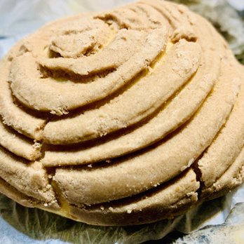 Panadería Nuevo Leon - Chocolate concha - Bakeries Near Me - Chicago, Illinois