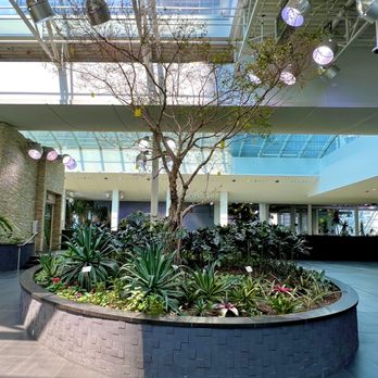 Devonian Gardens - Parks Near Me - Calgary, Alberta