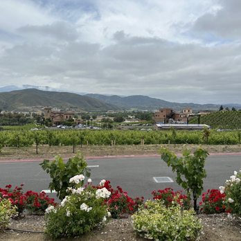Altisima Winery - View from where we were seated in the open seating section - Wineries Near Me - Temecula, California Altisima Winery - View from where we were seated in the open seating section - Wineries Near Me - Temecula, California