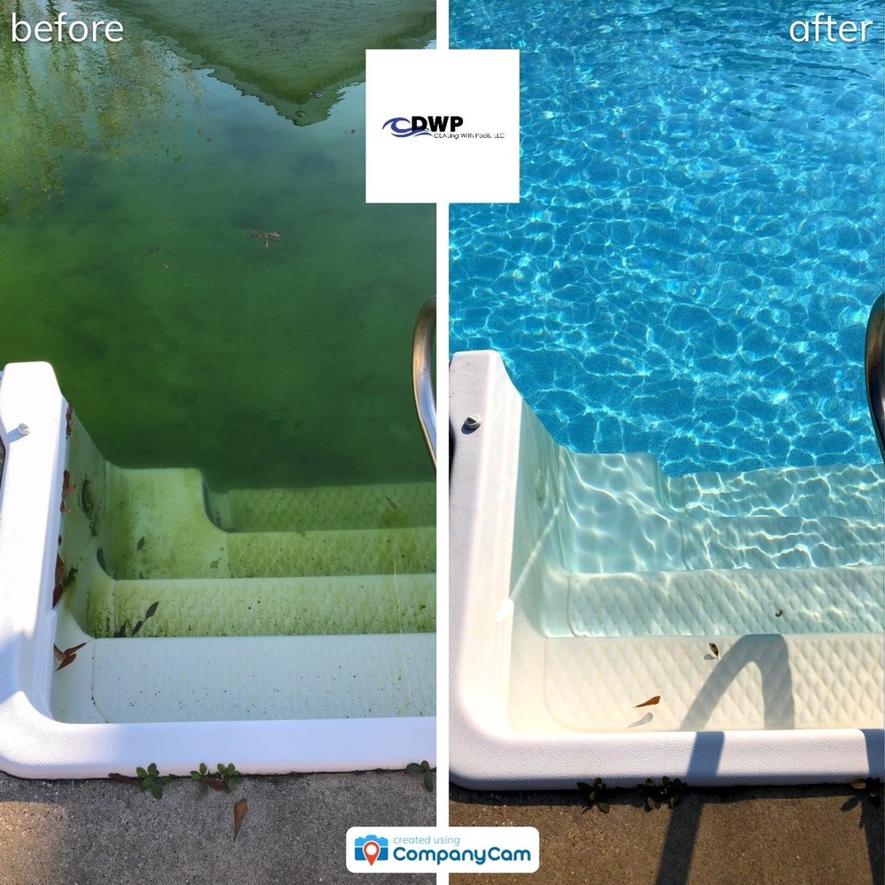 DEALING WITH POOLS Updated October 2024 14 Photos DeQuincy