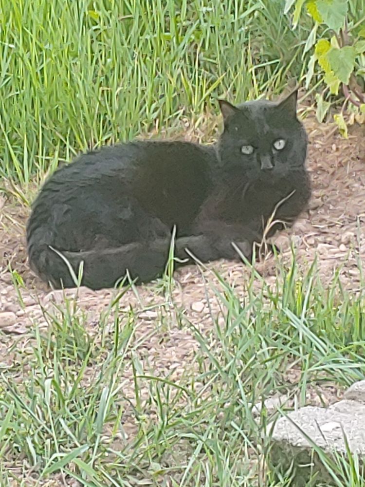 Sedro-Woolley Veterinary Clinic Image