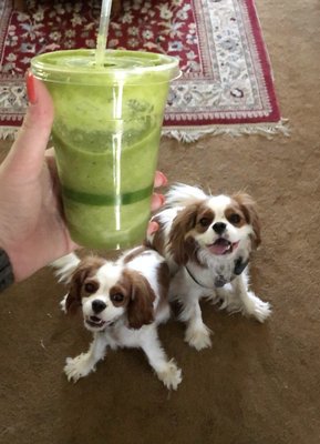 Sip Organic Juice Bar by null