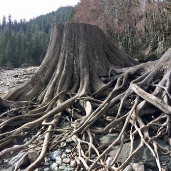 Mount Baker-Snoqualmie National Forest - Parks Near Me - Everett, Washington