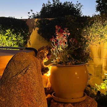 Exterior Tech Services - a cat sitting on a rock next to a potted plant - Misting System Services Near Me - Laveen, Arizona