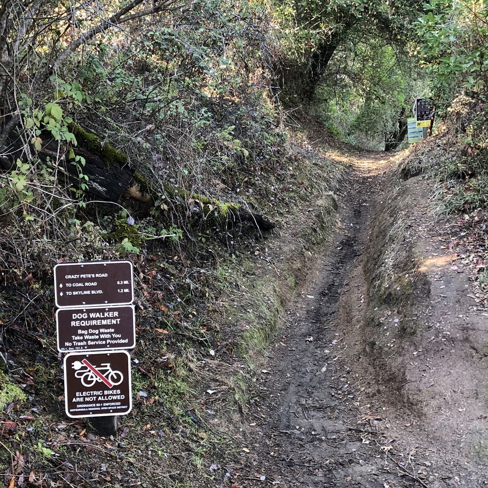 Coal Creek Open Space Preserve - Signs & trail - Parks Near Me - San Mateo, California Coal Creek Open Space Preserve - Signs & trail - Parks Near Me - San Mateo, California