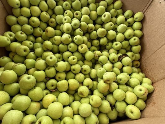 NetCost Market by null