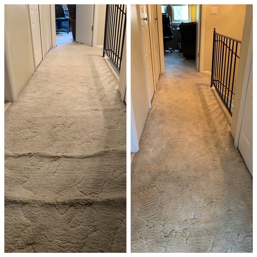 HAYNES CARPET CLEANING Bridgeport, Connecticut Carpet Cleaning