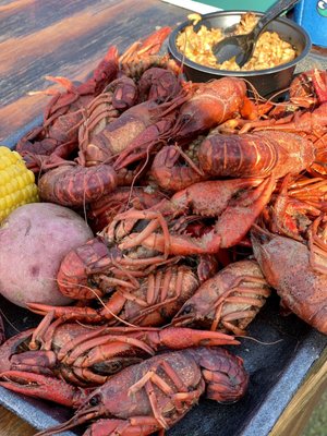 Tulane University by null