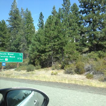 The Weed Store - Souvenir Shops Near Me - Weed, California