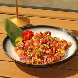 Fried Calamari