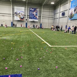 Total Sports Experience