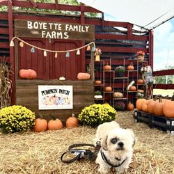 Boyette Family Farms