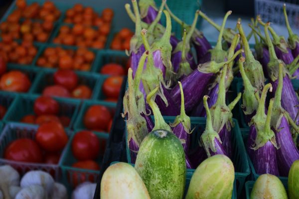 South Durham Farmers' Market by null