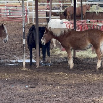 South Mountain Park - Horse back riding - Parks Near Me - Phoenix, Arizona