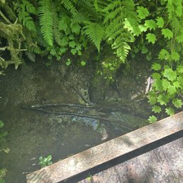 What's under some of the bridges (water, and cool little bridges in cut corners that helps with walking) What's under some of the bridges (water, and cool little bridges in cut corners that helps with walking)