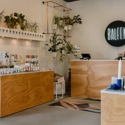 Baleen - Welcome to Baleen!