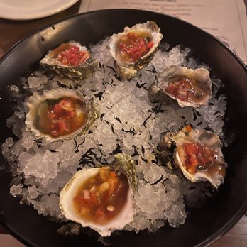Little Pearl - kumamoto oysters - New American Near Me - Key West, Florida Little Pearl - kumamoto oysters - New American Near Me - Key West, Florida