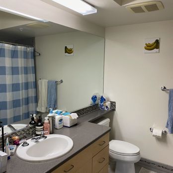Bellevue Clean - Home Cleaning Near Me - Bellevue, Washington Bellevue Clean - Home Cleaning Near Me - Bellevue, Washington