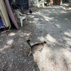 Animal Edventures Sanctuary