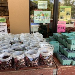 Kins Farm Market - Oxford Village - Cherries and blueberries are in season now!