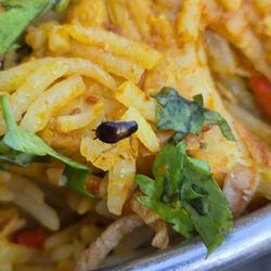 Namaste Indian Cuisine - We were served a biryani with a cockroach nymph in it.