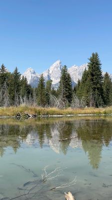 Schwabacher Landing by null