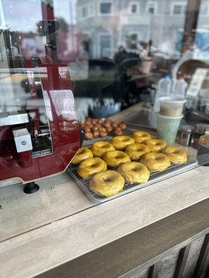 DODO BIRD Donuts by null