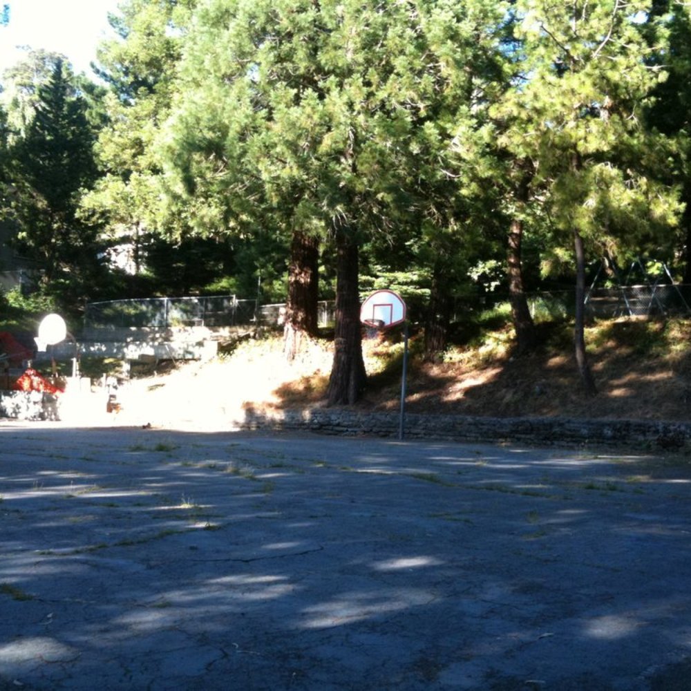 Terrace View Park - Basketball courts - Parks Near Me - Berkeley, California