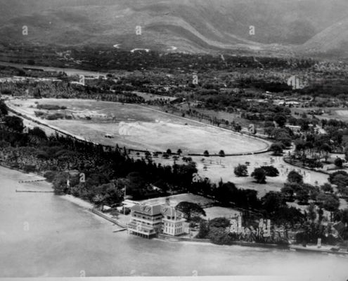 Kapiʻolani Regional Park by null