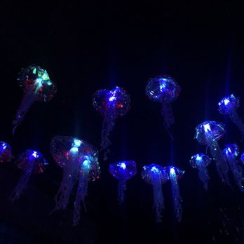 Dive Bar - Jellyfish lights - Dive Bars Near Me - Sacramento, California Dive Bar - Jellyfish lights - Dive Bars Near Me - Sacramento, California