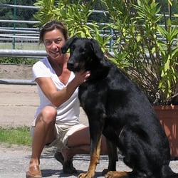 Hundepension Dogs Garden