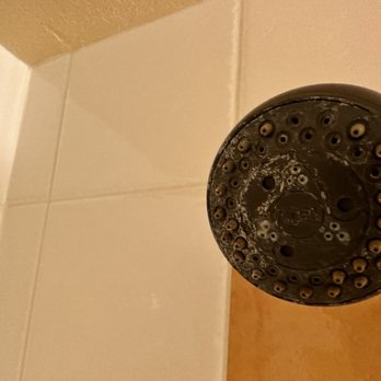 Panorama Mountain Resort - Clogged shower head - Ski Resorts Near Me - Panorama, British Columbia Panorama Mountain Resort - Clogged shower head - Ski Resorts Near Me - Panorama, British Columbia