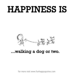 Precious Paws Exeter - Dog walking and pet sitting in Exeter