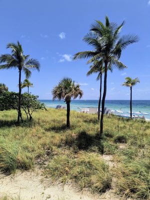 Bal Harbour Beach by null