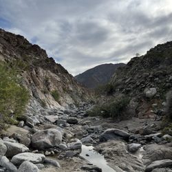 Wilderness Loop Trail - View of river bed portion of trail.